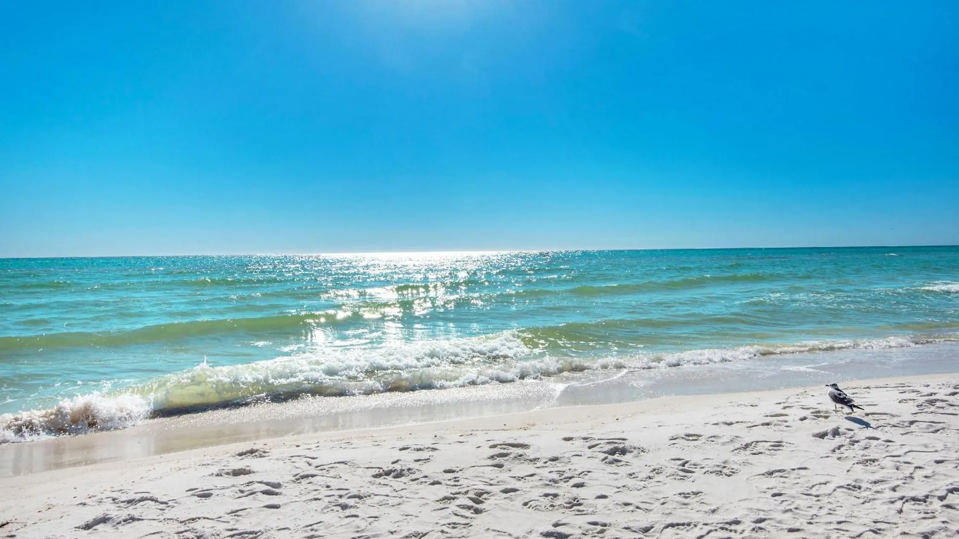 Shores Of Panama 1002 Panama City Beach